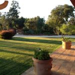 Ref 605 Curvas terracota pilar recondo